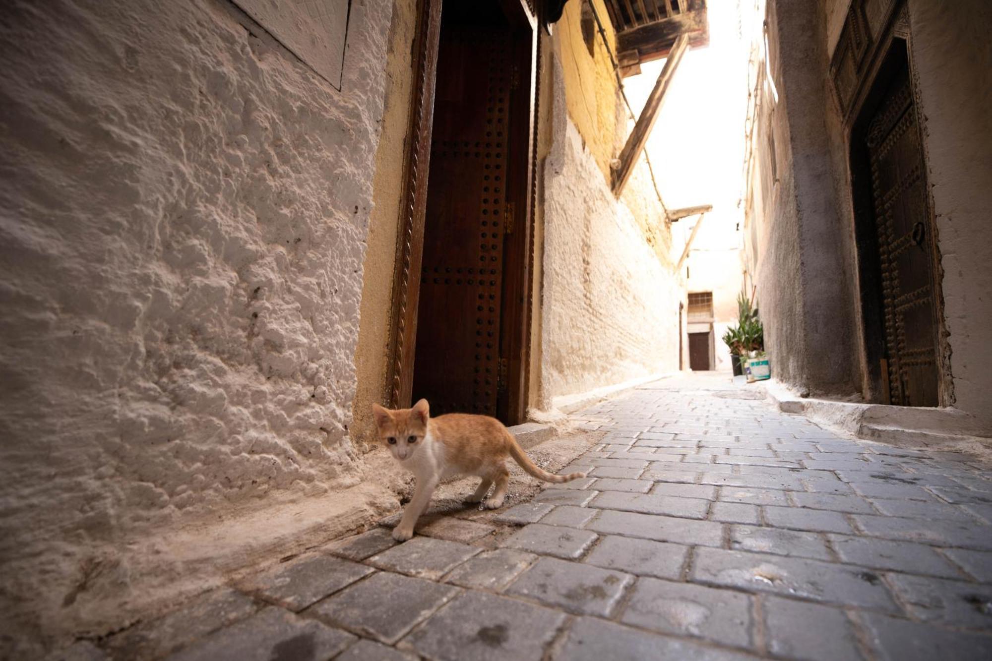 Riad Dar Omar Fes Exterior photo